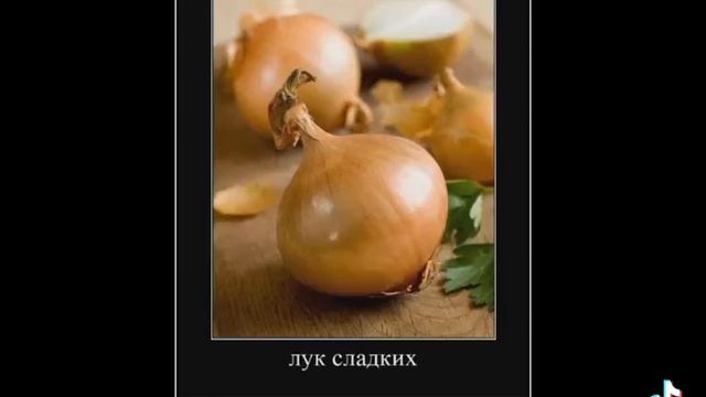 шлёпа