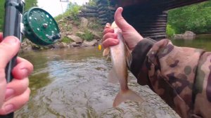 Летняя рыбалка на хариуса