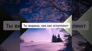 Наблюдение