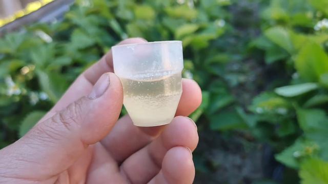 Не смешивайте эти удобрения смотреть онлайн