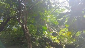 Сейшелы! Гранитные камни и СУПЕР секретный пляж. Сейшельские острова 2022