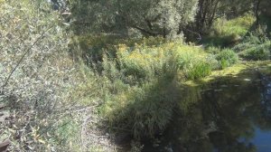 Константин Кузьмин. Один из секретов успешной рыбалки-2.