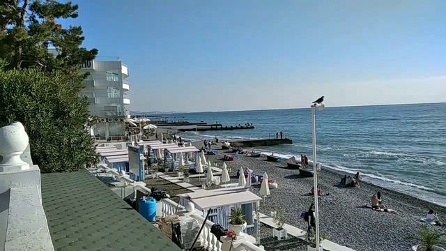 Сочи, декабрь, 🌊мореl Гуляем по набережной в районе пляжа Цирк и наслаждаемся хорошим солнечным днё