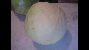 Как сохранить капусту до весны. Хранение капусты зимой. Как хранить капусту. Лежкий сорт капусты.