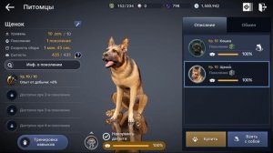 Black Desert Mobile 😺 Поколение Питомцев и Лошадей 🐴 ( как качать? )