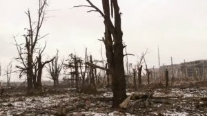 2015.02.16. BBC. Donetsk. Fleeing artillery fire during ceasefire