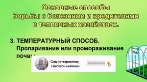 4 способа обработки теплицы от болезней и вредителей.