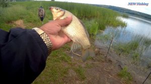 Крутая рыбалка на простые пружины и убийцу карася при полном отсутствии клева. День 2.