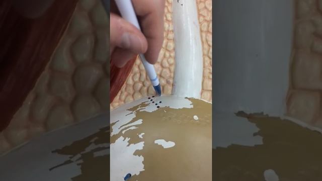 Нейроанатомия (Лаб Работа 15) Орган зрения