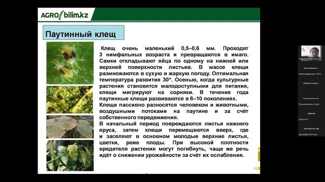 Технология возделывания огурца в защищенном грунте