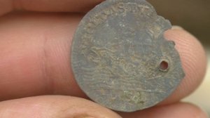 Поиски в старых заброшенных садах.