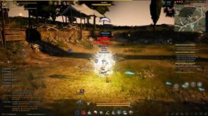 BDO воин vs лук (как нельзя играть за воина)