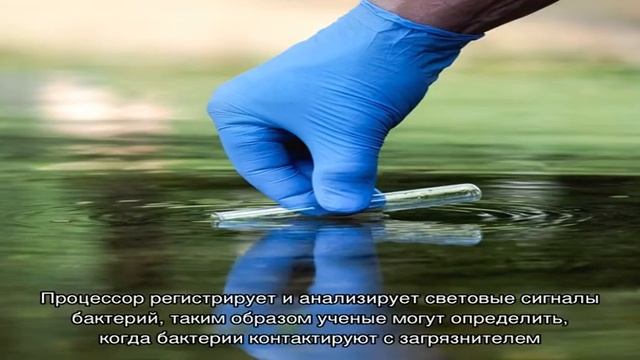 Бактерии помогут выявлять тяжелые металлы в питьевой воде смотреть онлайн