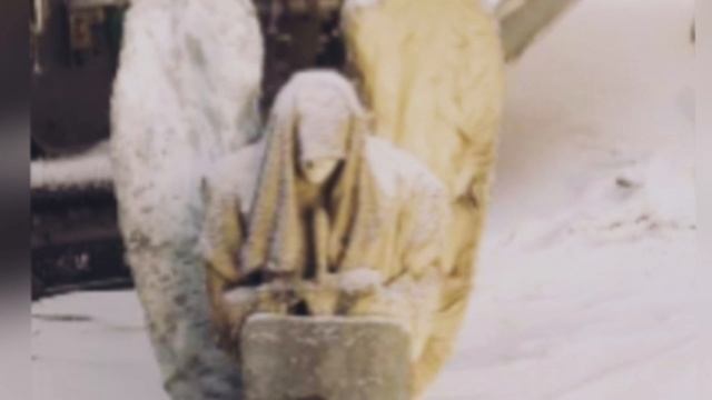 Эльгинский Ангел. Тайна Якутской находки через Хроники Акаши