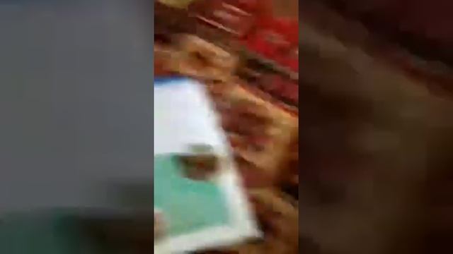 Миа.сиамская кошка смотреть онлайн