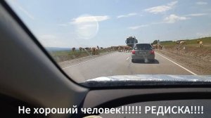 Перегон авто из Владивостока в Ростов-на-Дону.  Июнь 2023.  Часть 4. Гора "Спящий лев".