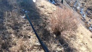 Супер охота. Каменная куропатка. Кеклик. Chukar hunting. Chukar hunting in the mountains.Hunting