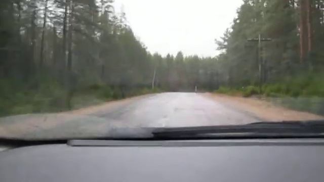 Карелия, дорога Погранкондуши - Олонец