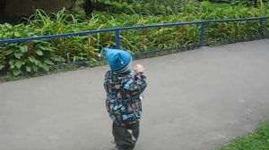 Сегодня явно не день Бекхэма.