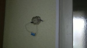 Управление люстрой по двум проводам