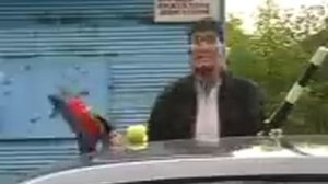 Номер видела,,,,