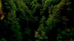 Adiemus *Reversed (Backwards)