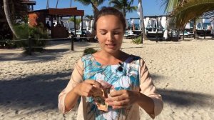 Доминикана деньги Сколько денег брать с собой в Доминикану ?