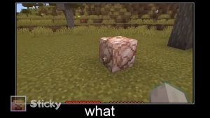 Minecraft wait what meme part 278 realistic minecraft Dog and Cat