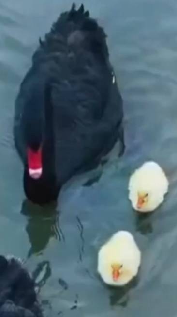 Чудо природы смотреть онлайн