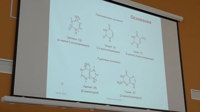 Лекция д.х.н. Е. Н. Офицерова: "МикроРНК (miRNA): открытие, образование, функционирование" смотреть онлайн