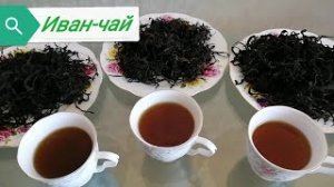 Иван-чай  рецепт приготовления.
