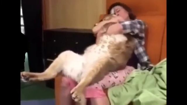Обнимания для шлёпы