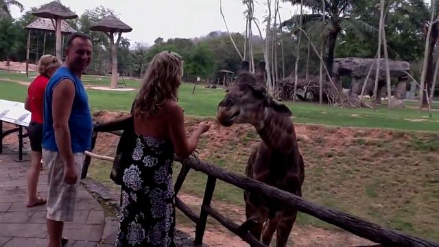 Кхао кхео 22 смотреть онлайн