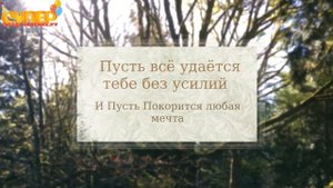 Поздравление зятю с днем рождения от тещи. super-pozdravlenie.ru
