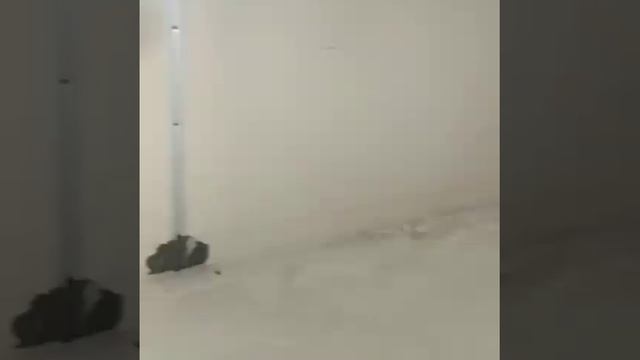 Процесс укладки коммерческого линолеума с заведением на стену смотреть онлайн