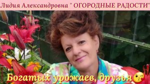 Какое страшное нашествие гусениц!