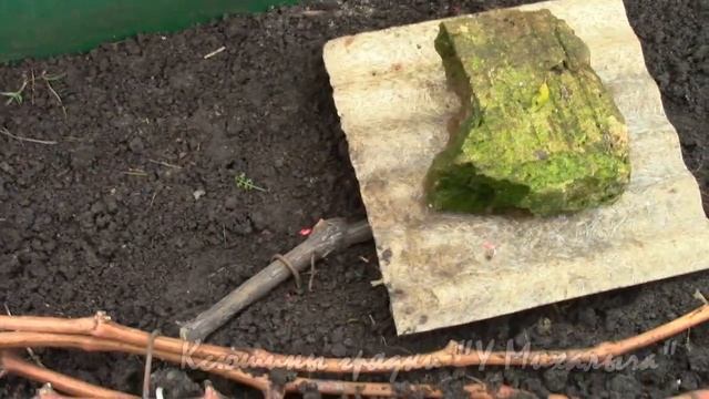 Стоял ноябрь уж у двора. Осенние работы на винограднике. "ВИНОГРАД и МЫШИ" смотреть онлайн