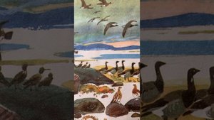 «Плавунчик» И.С. Соколов-Микитов: чтение рассказа