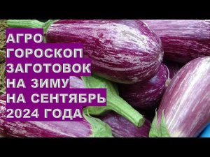 Агрогороскоп заготовок на зиму всентябре 2024Agrohoroscope of winter preparations for September 2024