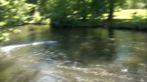 Обзор катеров на радиоуправлении  (Rayline и Speedboat Maxi)