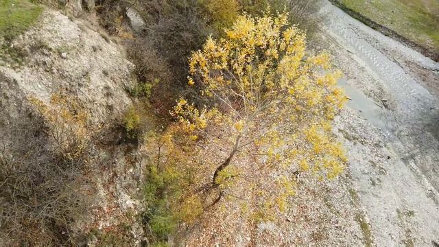 Ленинаул и Калинаул, Казбековский район, Дагестан. Река Акташ. Красивое чтение Корана Тарик Мухамма