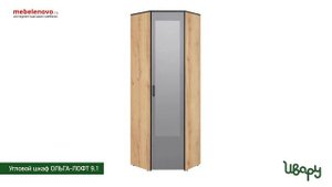 Шкаф угловой с зеркалом Ольга Лофт 9.2