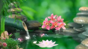 Расслабляющая музыка со звуками природы Бамбуковый фонтан