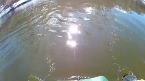 Открытие весенней охоты на селезня