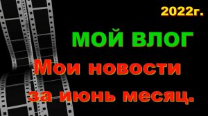Мои новости. Зелёная ящерица. Кыцик. Влог. Июнь.