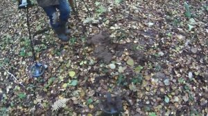 БОГАТАЯ ЛЕСНАЯ ДОРОГА НА СТАРУЮ ЯРМАРКУ! КОП МОНЕТ В ЛЕСУ!