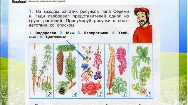 Окружающий мир 2 класс проект на тему