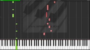 Прованс - Ёлка