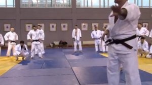 Видео 9: Дмитрий Морозов - Подхват (Учи-Мата)