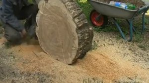 Распил бревна